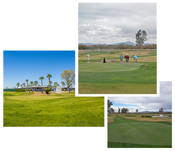 Golf Course Collage